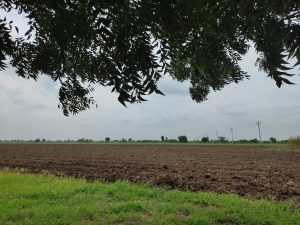 A plowed field

