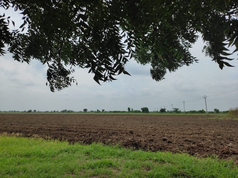 A plowed field