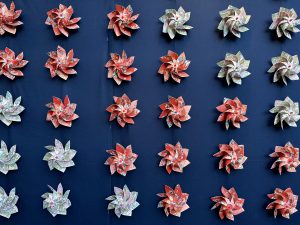 Five rows of Japanese paper pinwheels arranged regularly on a wall.
