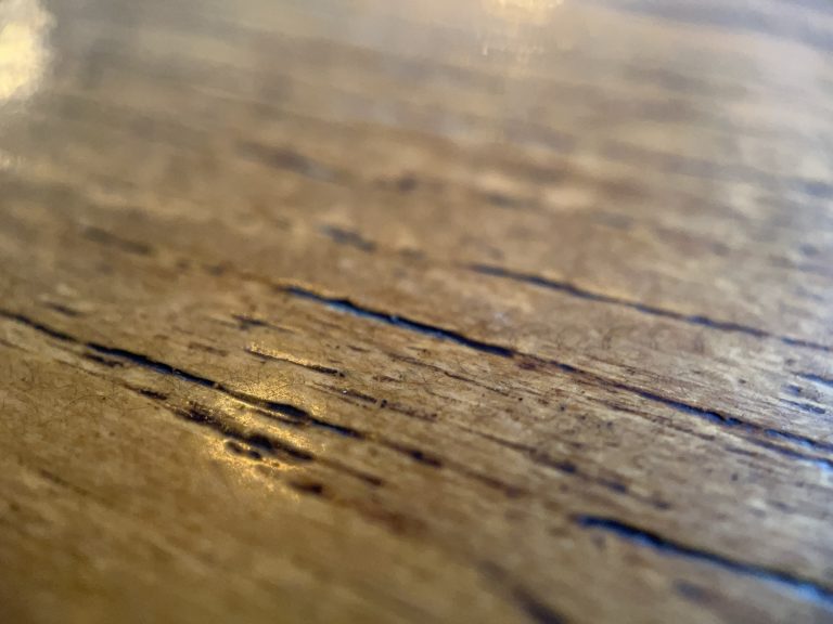 Macro picture of wood grain