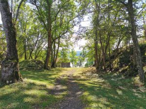 An opening between the trees that lead to a house by the water. An island in the Oslo fjord of Norway.