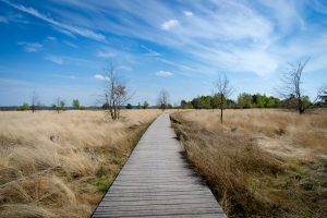 National park Hoge Veluwe, The Netherlands