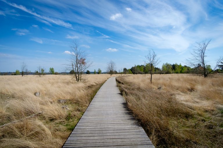 National park Hoge Veluwe, The Netherlands