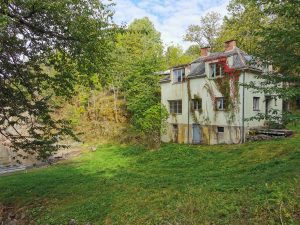 The old house filled with the green vines.