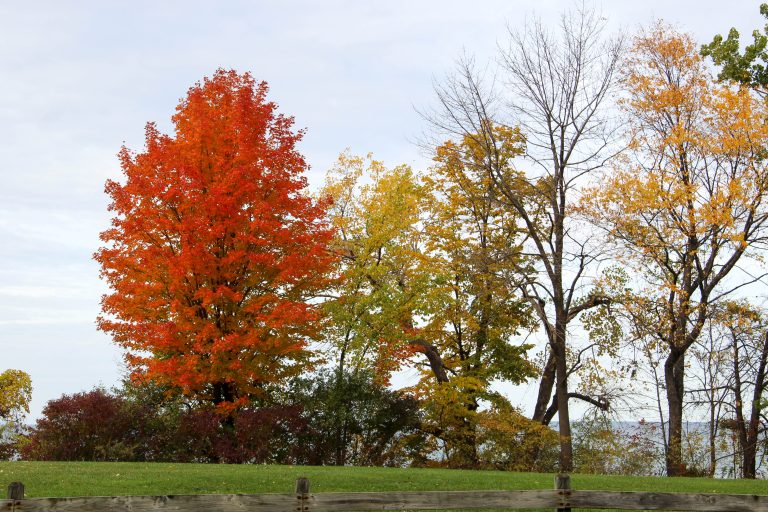 Lake Ontario, Rochester, New York, USA