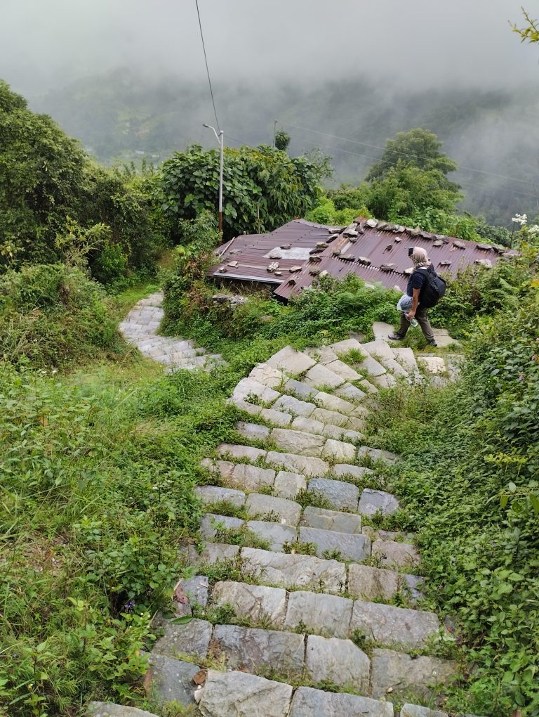 Way down from Mountain, Dhampus, Nepal