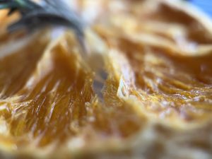 Macro picture of dried orange