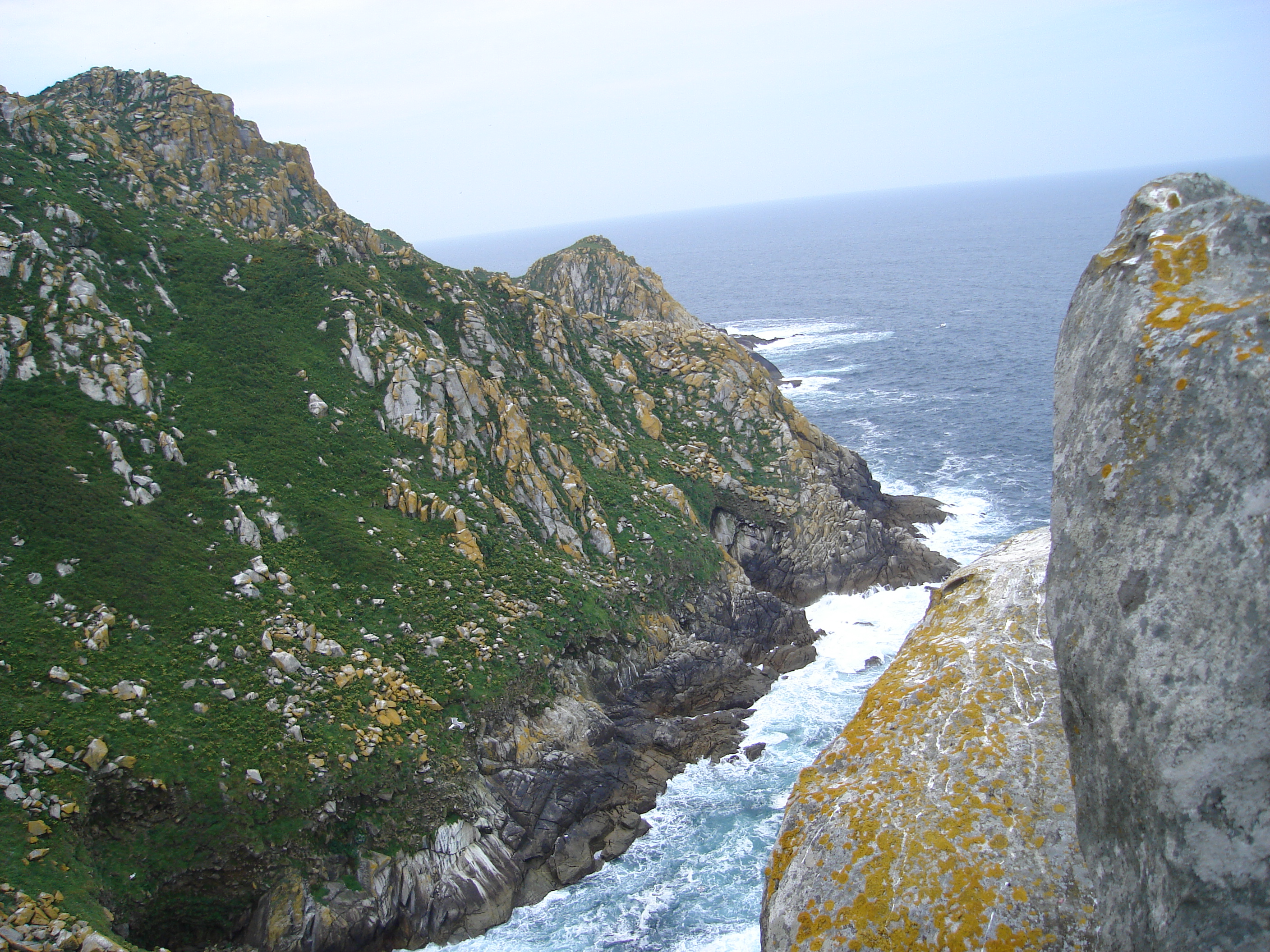 Acantilado, Mar, Isla, Cíes, VIgo