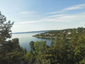 Nature. Trees, water and houses outside of Oslo, Norway