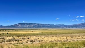 Landscape View Of The Nevada Desert And Mountains Along Highway 50