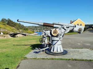 World war 2 cannon