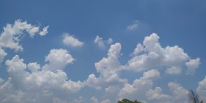 Cotton cloud Pattern
