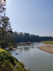 River in the jungle