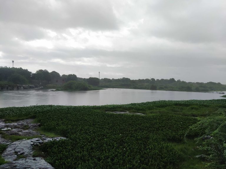 Greenery lake view