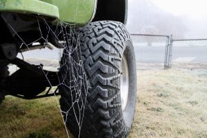 Frozen spiderweb next to a very large truck tire on a lime green pickup truck