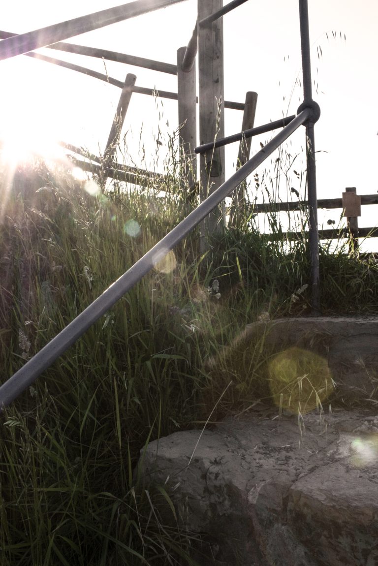 Stairs and weeds in the sunshine of Muskiz (Bizkaia, Spain)