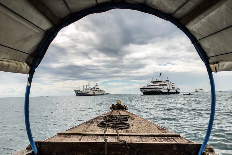 Ships on the Indian Ocean in Zanzibar