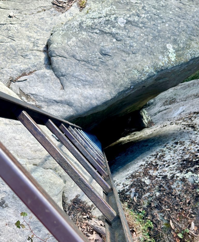 Rock Climbing Access Ladder, Endless Wall Trail, New River Gorge National Park, Fayette County, West Virginia