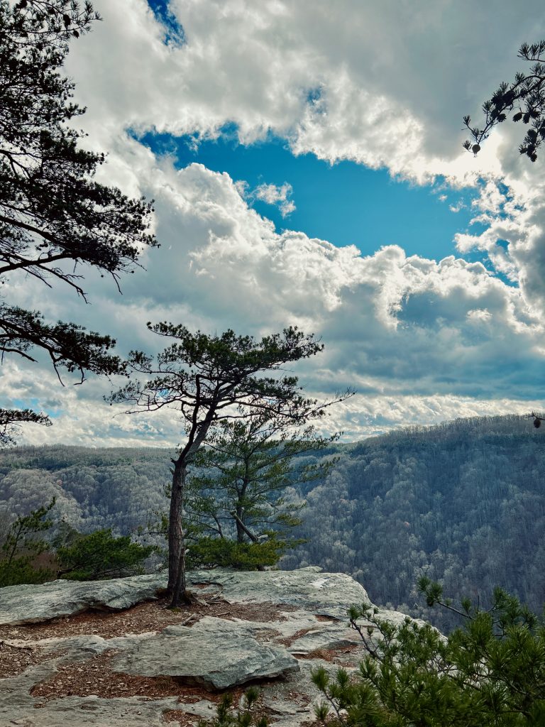 Endless Wall Trail, New River Gorge National Park, Fayette County, West Virginia