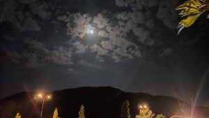 Night Moon
