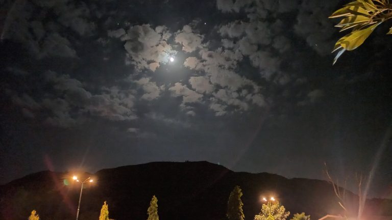 Night Moon