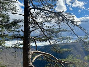 Endless Wall Trail, New River Gorge National Park, Fayette County, West Virginia