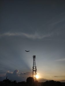 A bird flying by a tower during sunset.
