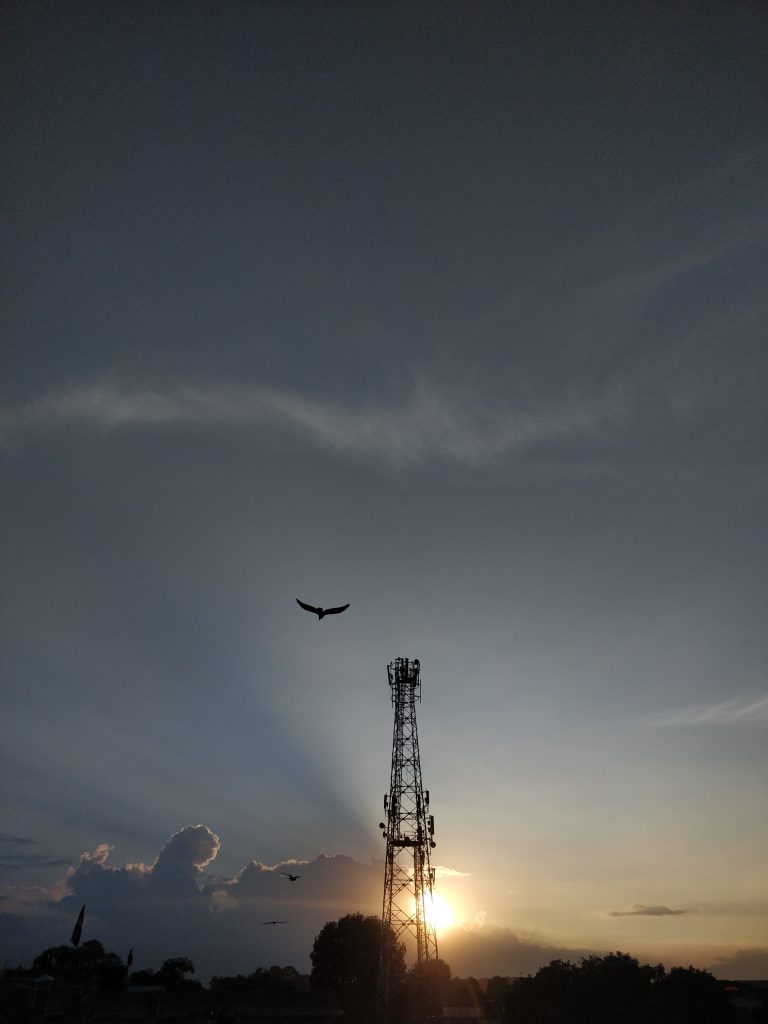 A bird flying by a tower during sunset.