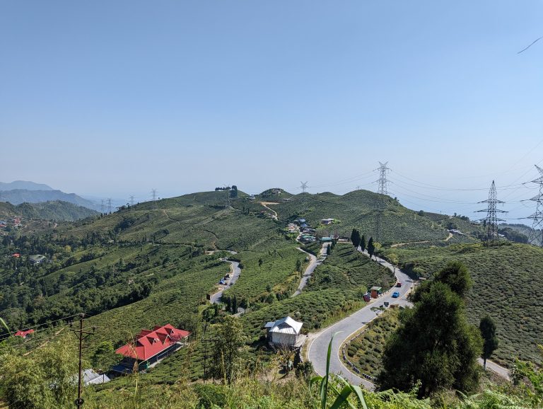 Darjeeling Nature