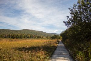 Cranberry Glades Botanical Area, Hillsboro, West Virginia