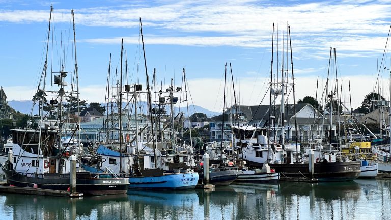 Foshing Boats in The Eureka, California Harbor