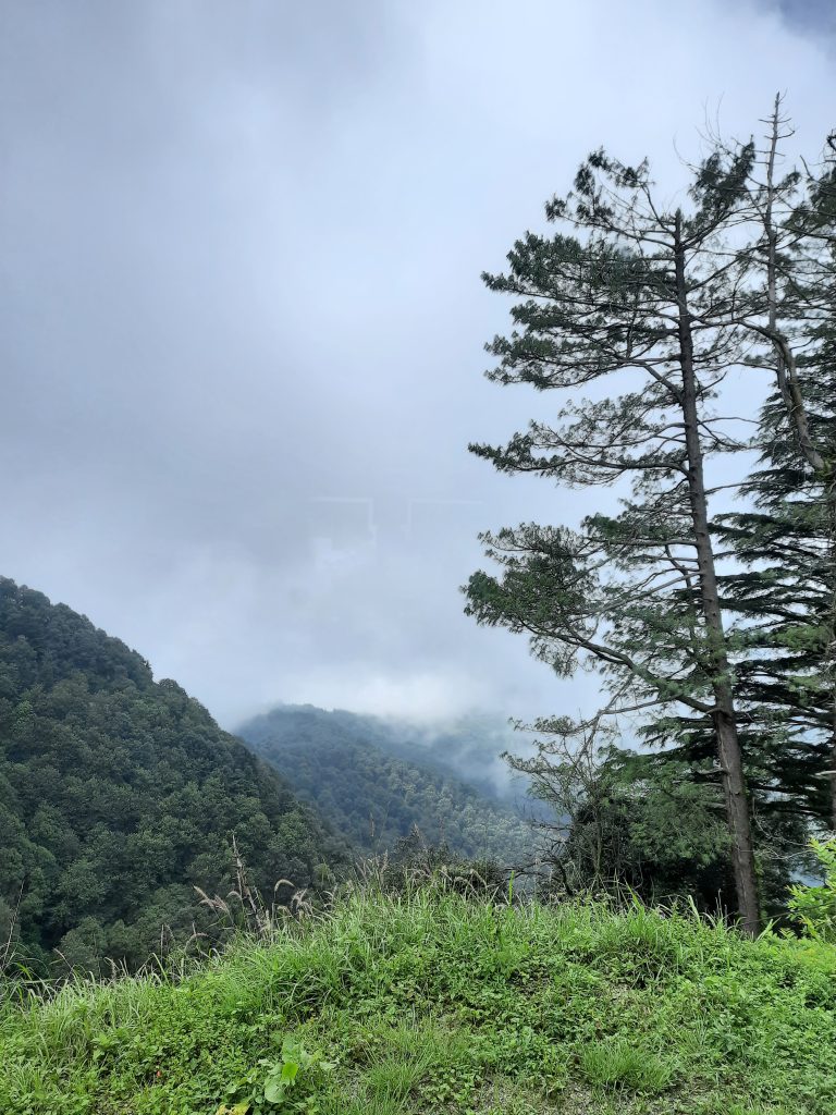 Nature Clouds