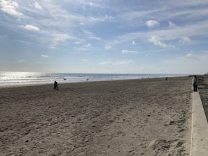 秋の白里海岸

Shirasato coast in autumn