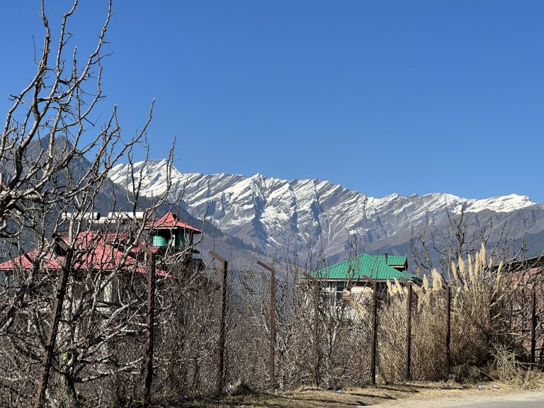 That cold chills literally made me feel each breath that I was unaware of earlier. Photo from Manali.