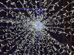 Christmas web’s spider
