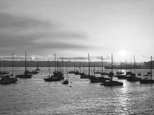Sail boats off the shore of San Diego
