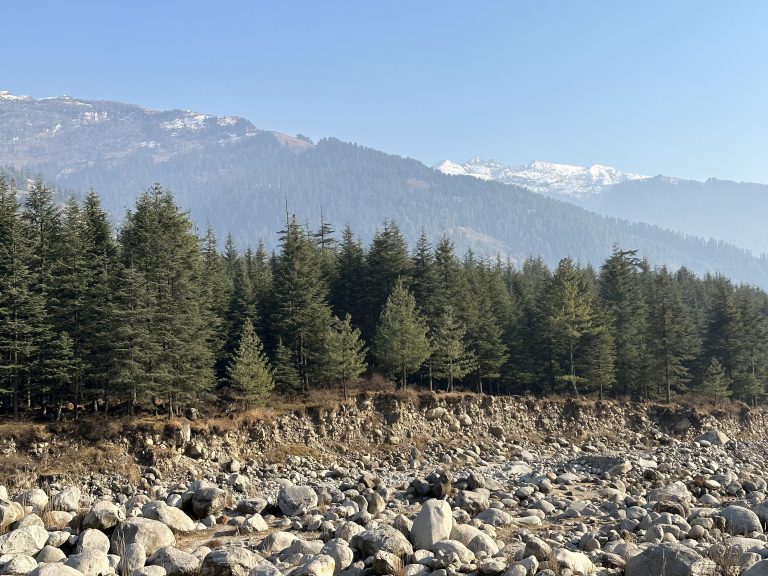 Nature has the best color combination ever. Who would think that the blue, the white, the grey and the brown can go together and can equally be mesmerizingly beautiful. Photo taken at Manali bus station.