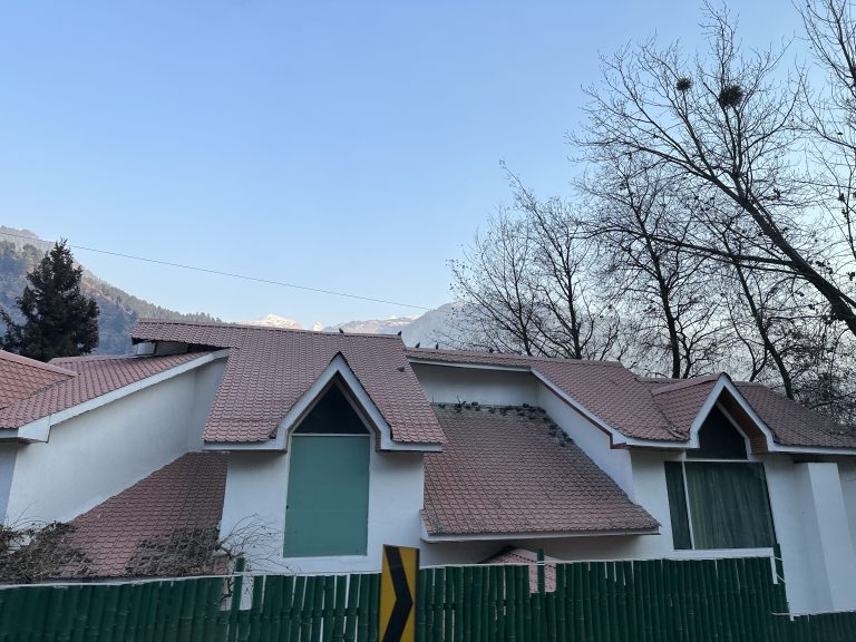 Ever wonder how these roofs can be equally beautiful and warm at the same time protecting from the chilled goosebumps one might get in the snowy area. On the way to Kullu.