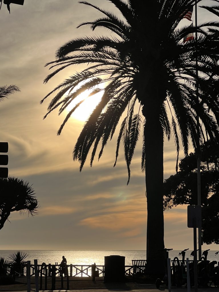 Venice beach, LA