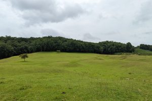 Hill view Sreemangal

