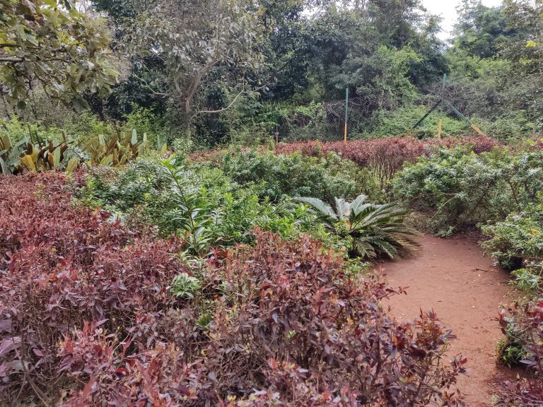 hill, nature, garden