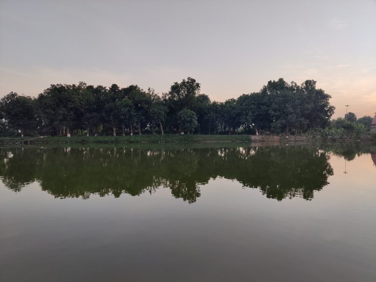 Reflection of trees in the water.