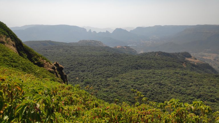 Sahyadri Valley at Uchat