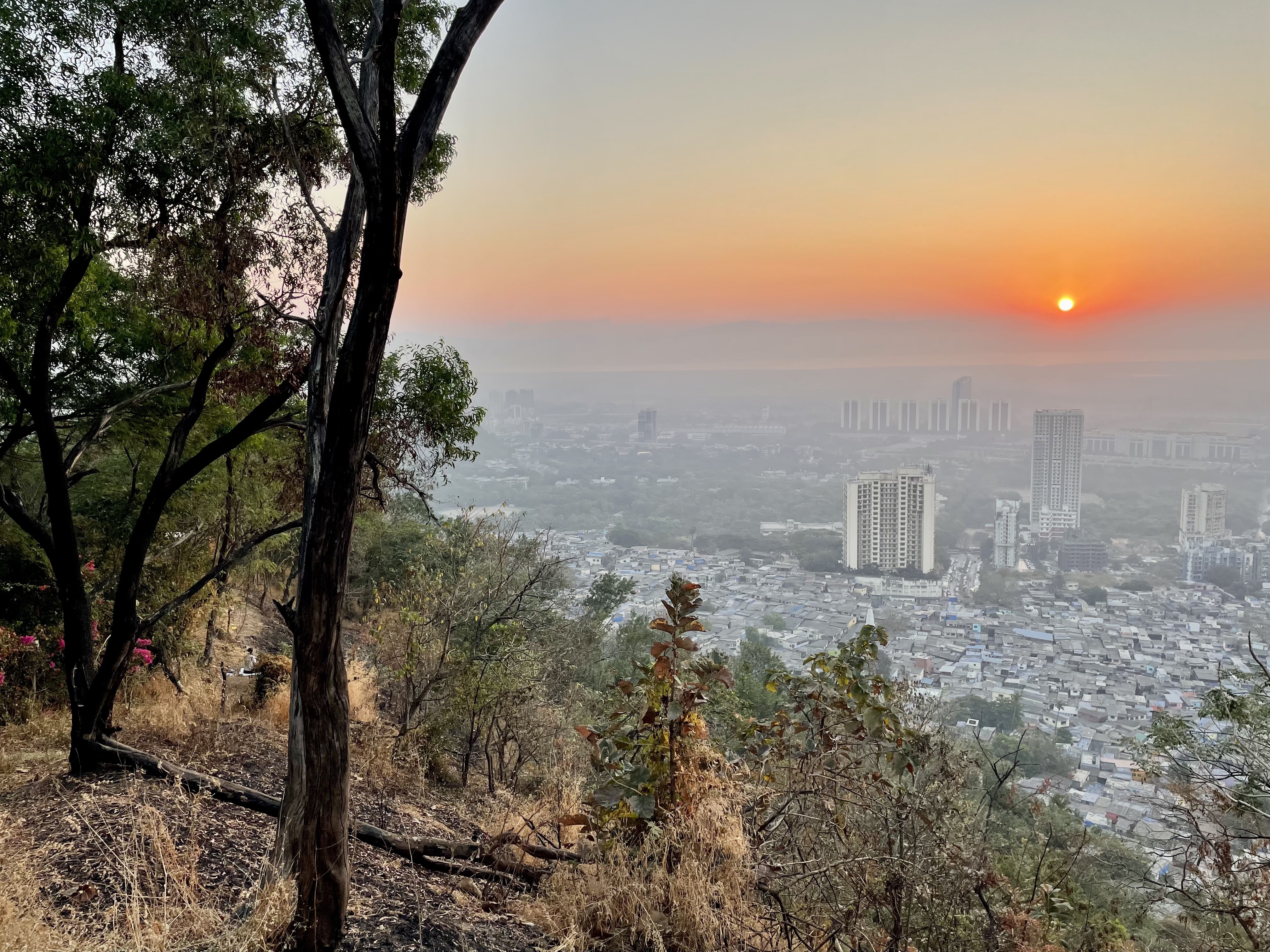 sunrise, sunrise and city, sunrise and trees, orange cloud