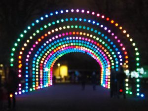 Christmas Lights, Bokeh Photography, Buffalo Zoo
