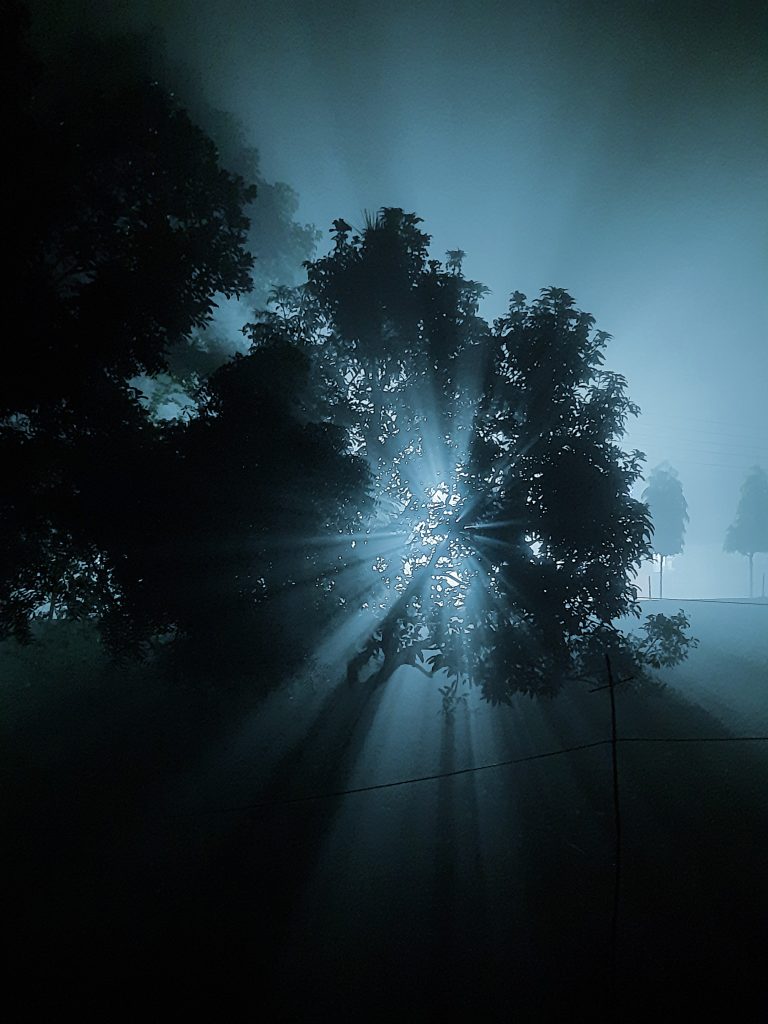 Foggy winter night light effect