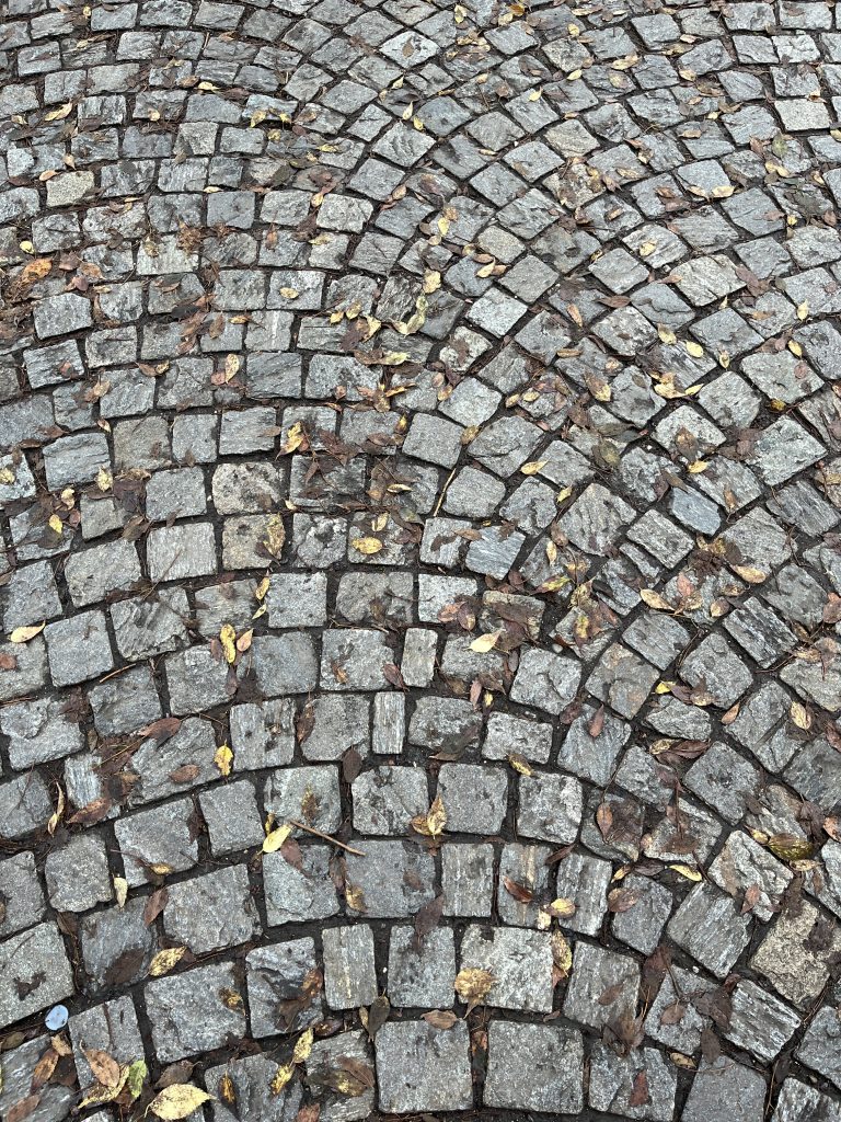 Cobblestone sidewalk, Milan, Italy