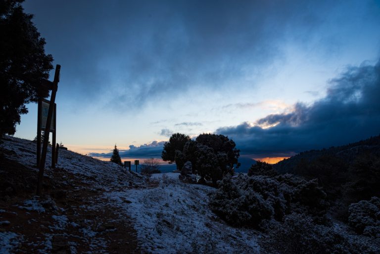 Amancer tras una nevada en el Parque Nacional Sierra de las Nieves, Yunquera