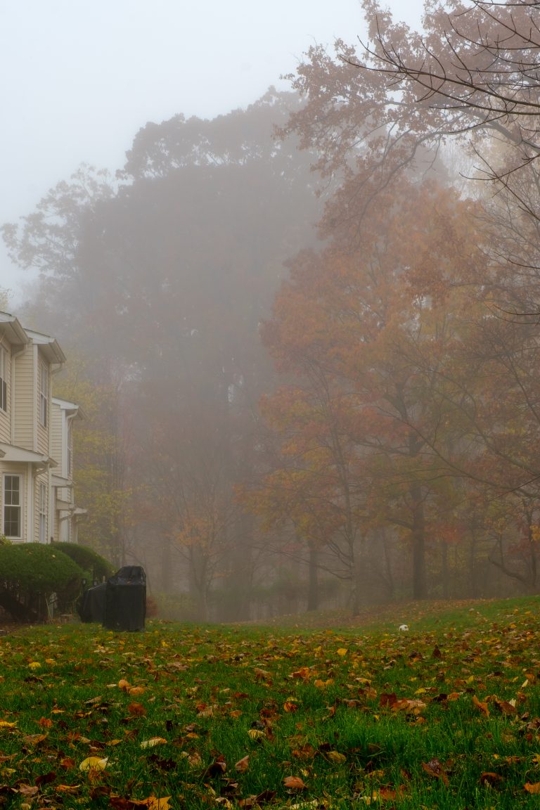 Backyard in the fall, Montgomery Township, New Jersey