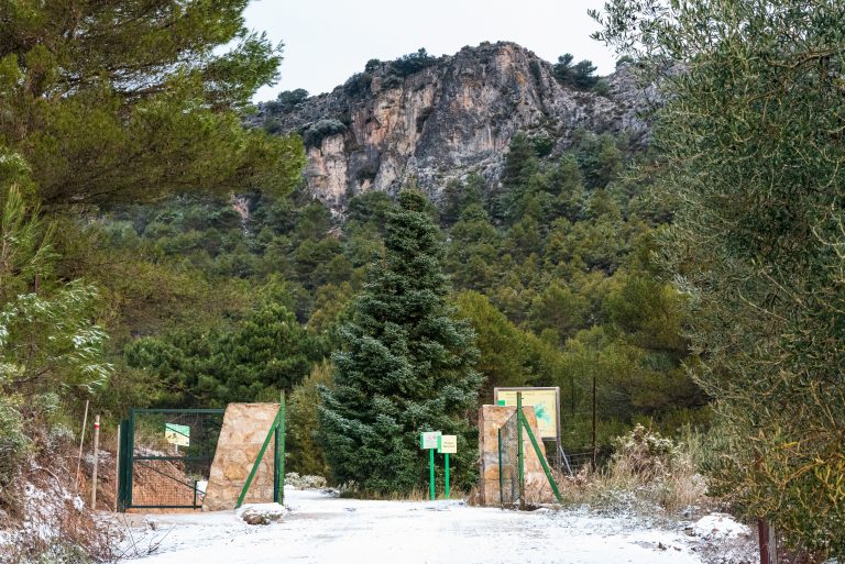 Paso candiense, entrada al Parque Nacional Sierra de las Nieves, Yunquera